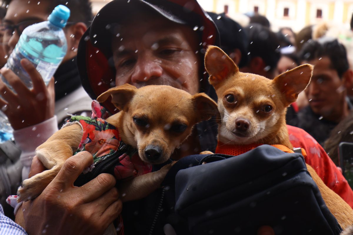  (Getty Images)